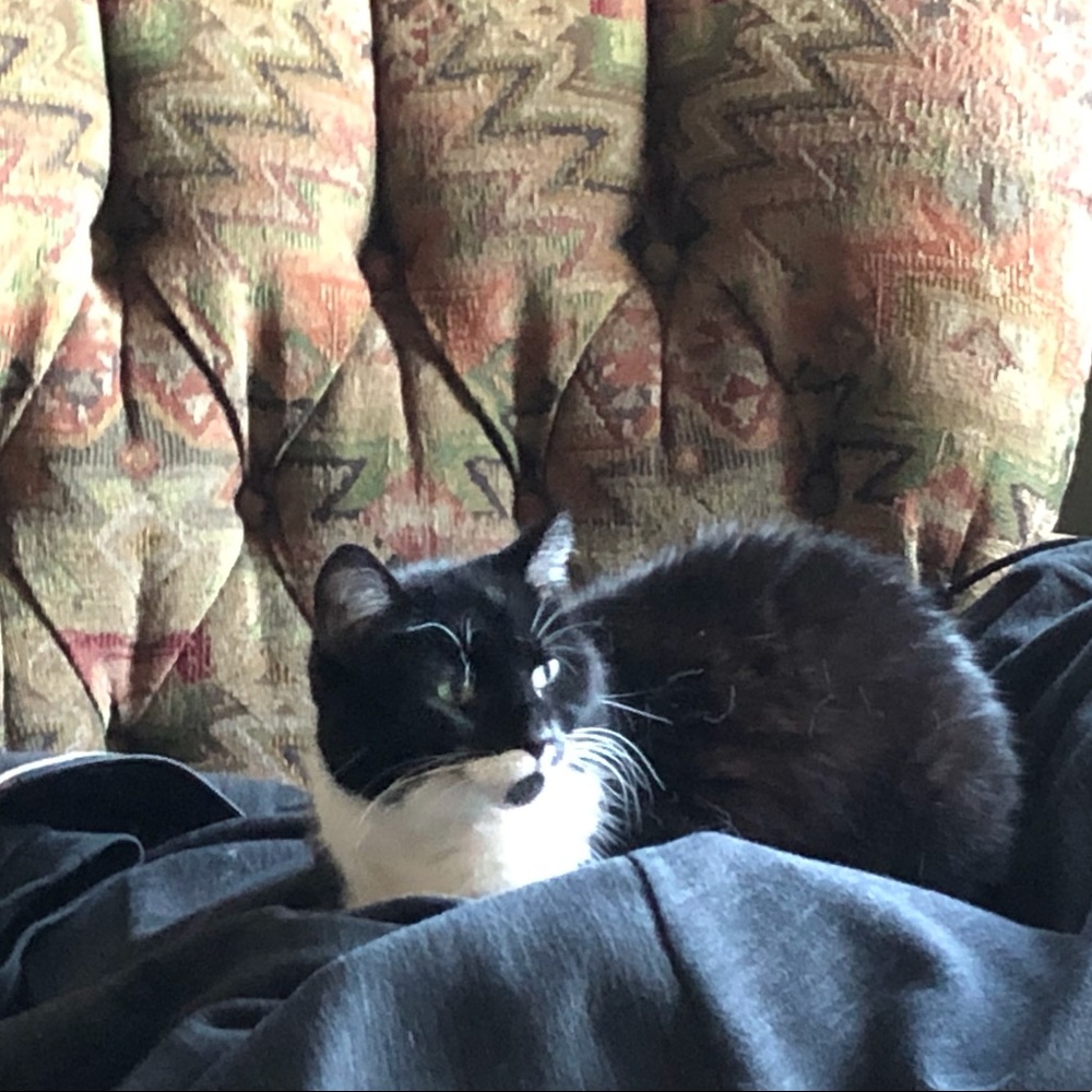 Meet your Posher, Walter